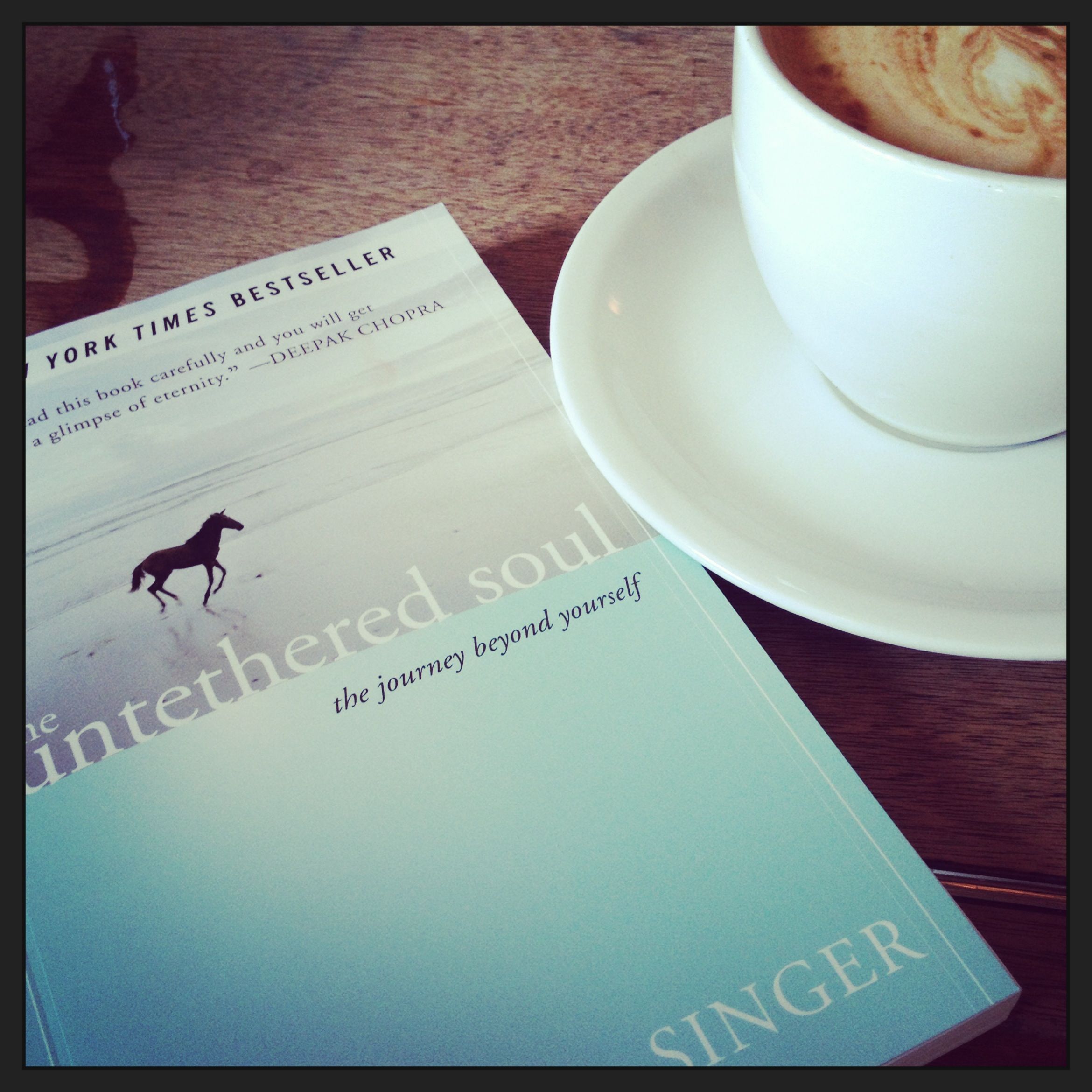 the untethered soul michael singer pdf